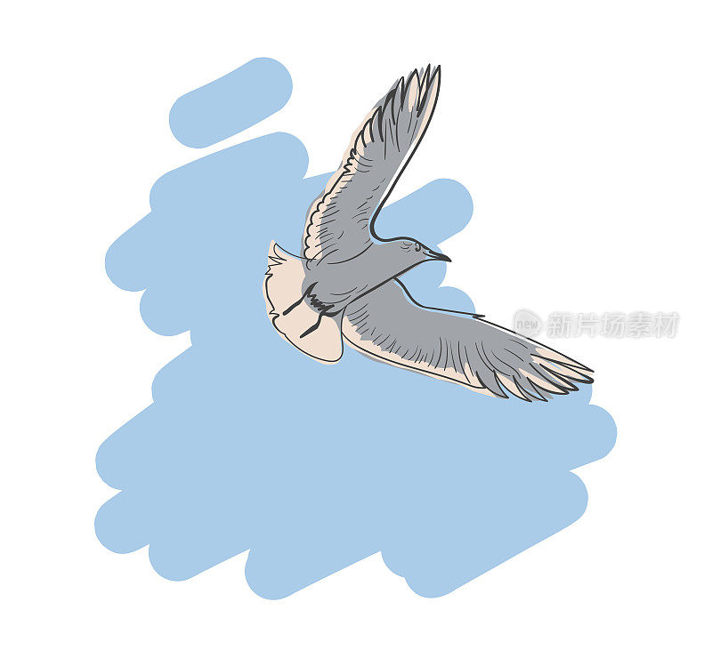 灰白色的海鸥在蓝天。飞翔的鸟。矢量插图与胶印效果，EPS 10。